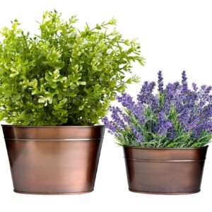 Metal Flower Pot for Living Room Bedroom Garden Table Top Planter (Set of 2)