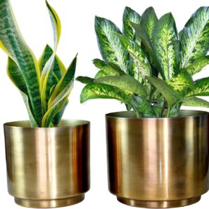 eSplanade Metal Flower Pot for Living Room Bedroom Garden Tabletop Planter - (Set of 2)